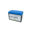 12V100ah 200ah Deep Cycle Lead Acid Lifepo4 Batteries